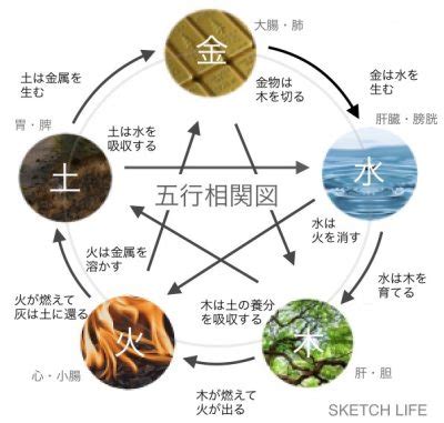 東南方風水|風水｜南東の方角が持つ気と運は？開運に効果的な部 